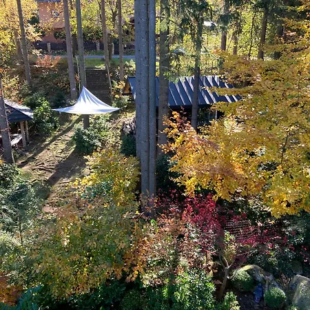 Skala * カルパッチ